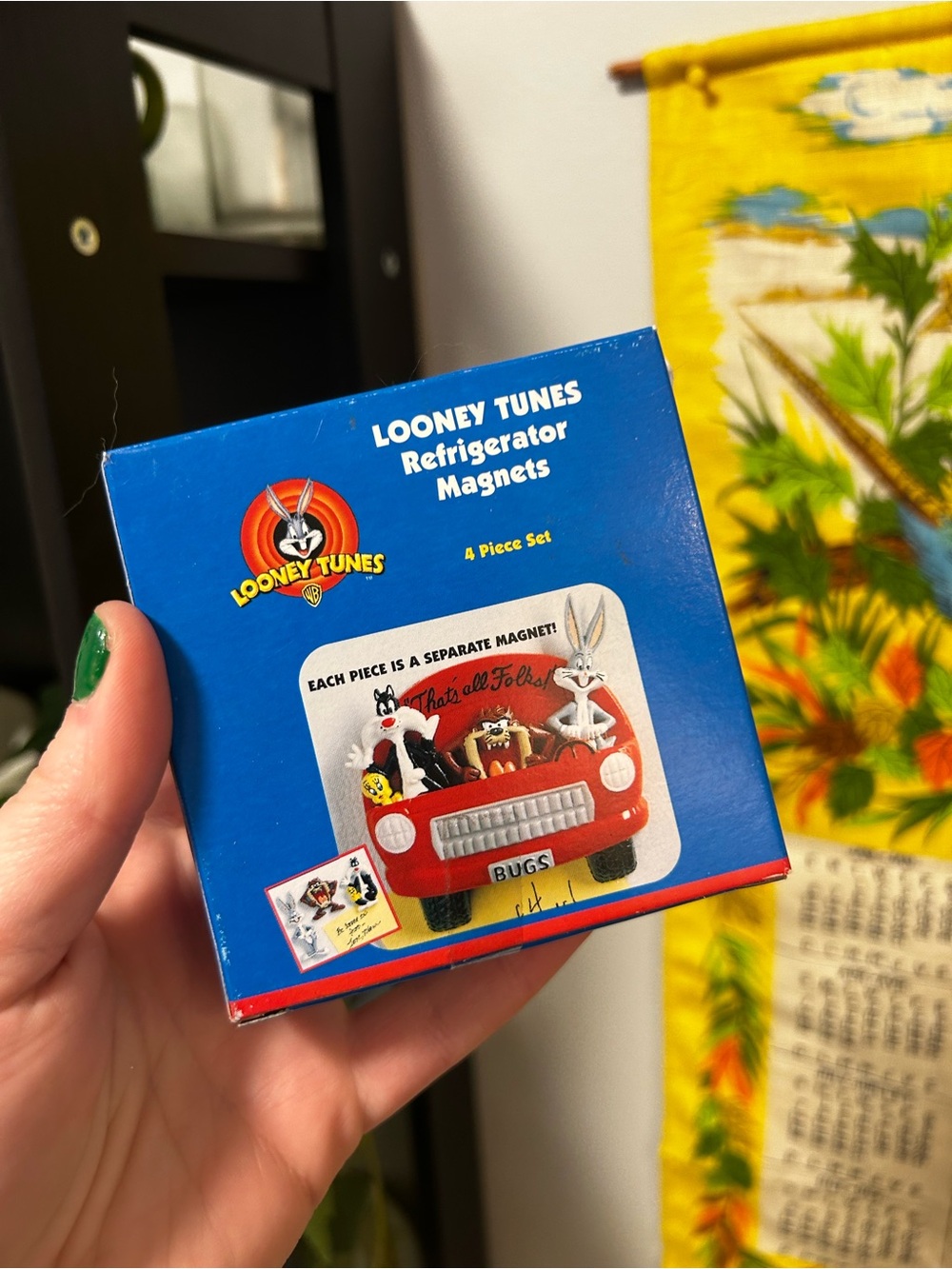 Warner Bros. Looney Tunes Refrigerator Magnets